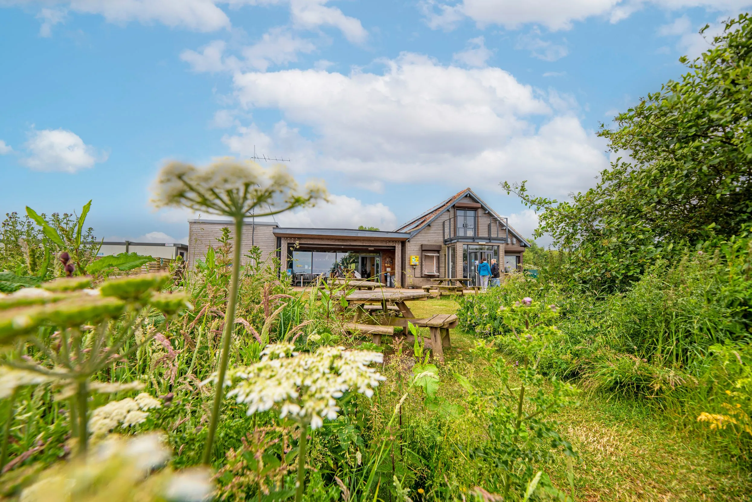 The wooden structure of the visitor centre sits in the background with grassland, flowers and trees of the outside seating area sit in the foreground of Bempton Cliffs.